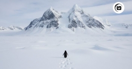 কলোনি ছেড়ে পাহাড়ের দিকে একা কেন এই পেঙ্গুইন?